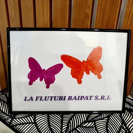 수체아바 La Fluturi Apartament 아파트 외부 사진
