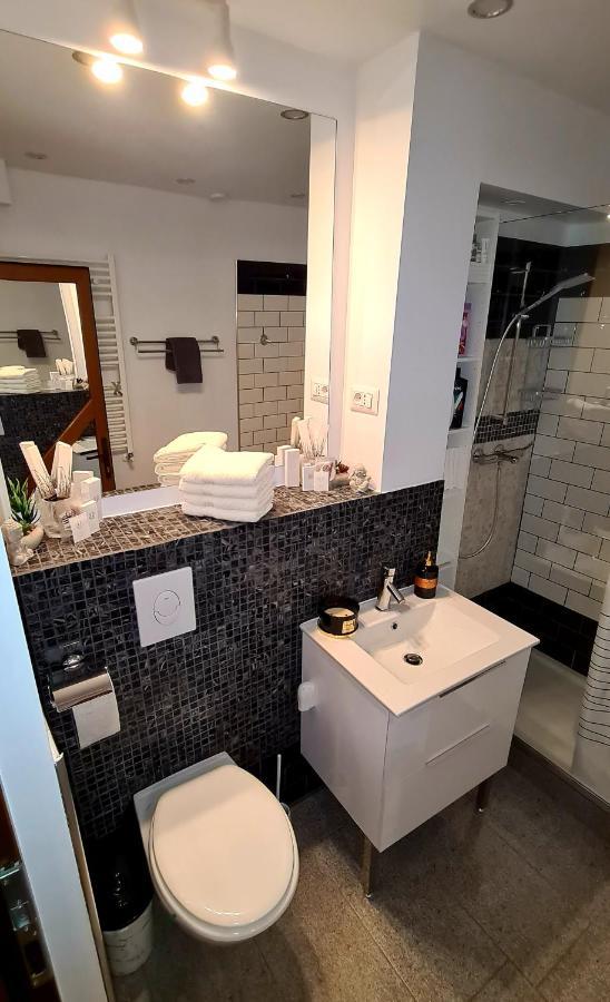 수체아바 La Fluturi Apartament 아파트 외부 사진